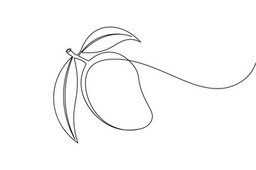 Mango fruit one line drawing and minimalist style isolate outline vector illustration