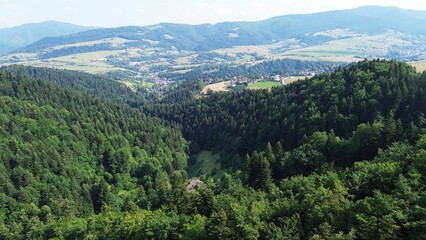 Fototapeta premium Aerial perspective of forested area