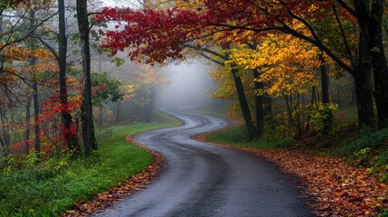 Naklejka premium Serene Winding Road Through Foggy Forest with Autumn Colors