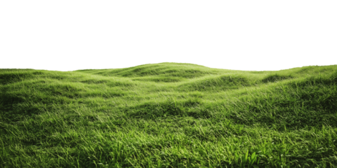 Green hills landscape. Green grass field isolated on transparent background. 3d rendering. PNG image