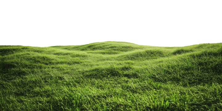 Green hills landscape. Green grass field isolated on transparent background. 3d rendering. PNG image