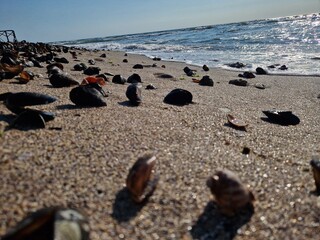 Sand & Beach