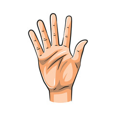 Vector Hand Gestures Showing Numbers 5. Isolated on White Background