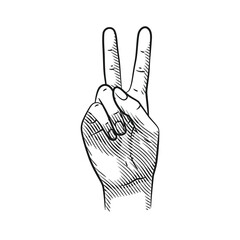 Vector Line Art Hand Gestures Showing Numbers 2. Isolated on White Background