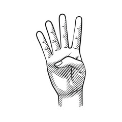 Vector Line Art Hand Gestures Showing Numbers 4. Isolated on White Background