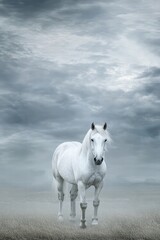 Obraz premium Majestic White Horse in Misty Landscape Under Dramatic Clouds