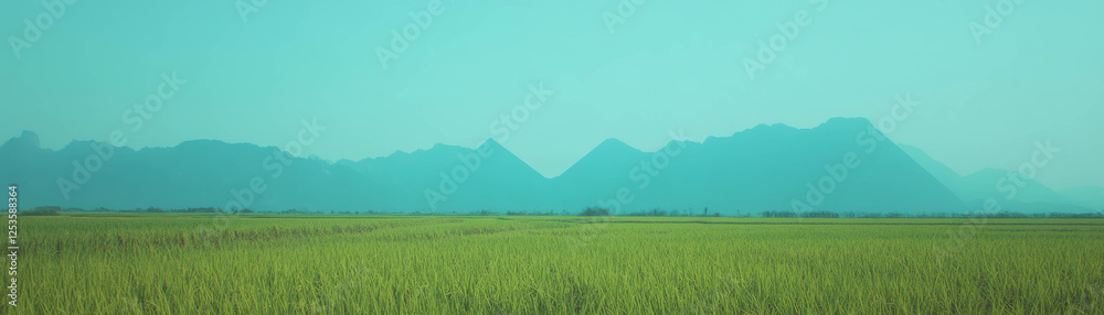 Poster rice fields stretch across the landscape with mountains rising in the distance under a bright sky