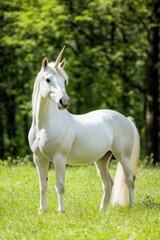 Obraz premium Majestic White Unicorn Standing Gracefully in Lush Green Meadow