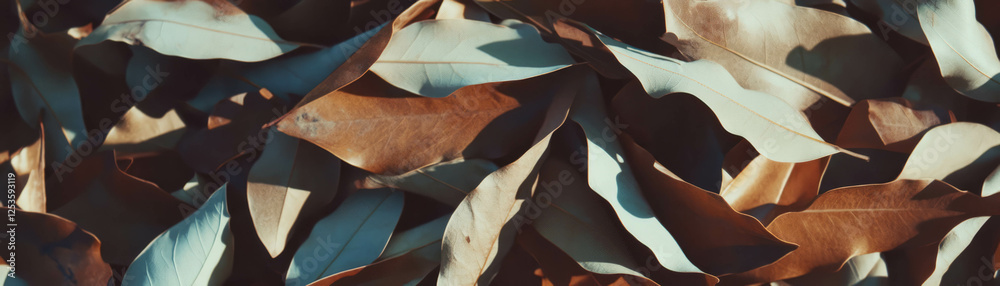 Poster Overlapping layers of dry leaves create intricate texture against a bright background