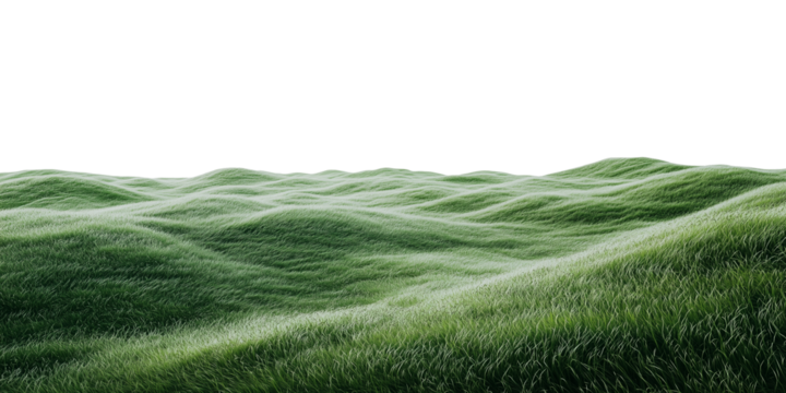 Green meadow on transparent background. Landscape border, green hill. PNG image