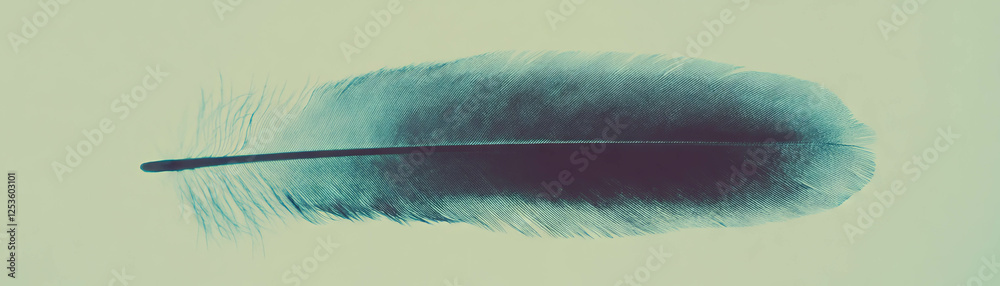 Poster halftone texture of a bird's feather highlighting soft barbs and a textured quill