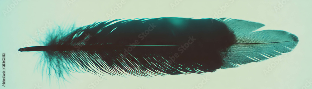 Poster halftone texture showcasing a bird's feather with intricate barbs and textured quill