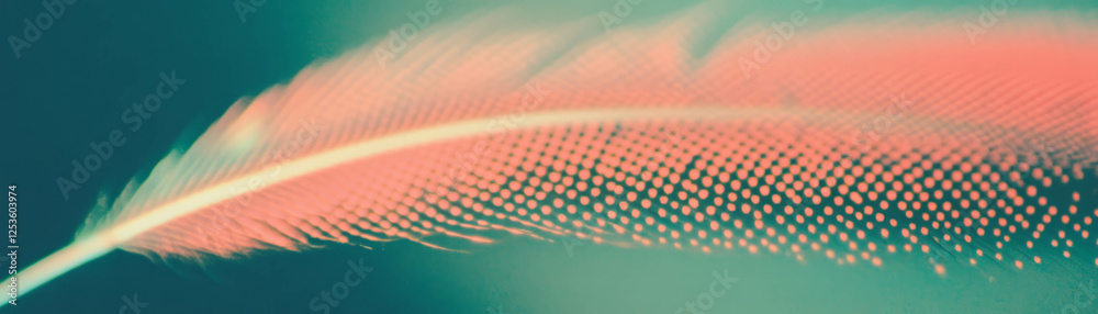 Poster Close-up view of a feather showcasing halftone texture and intricate barbs
