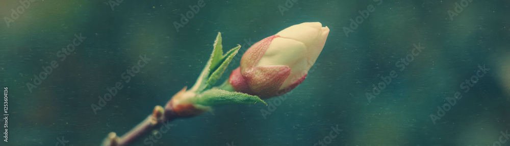 Poster close-up of a flower bud poised to bloom showcasing halftone texture and grunge background