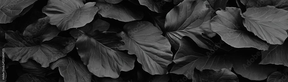 Leinwandbilder close-up view of dry leaves with halftone texture showcasing intricate veins and patterns