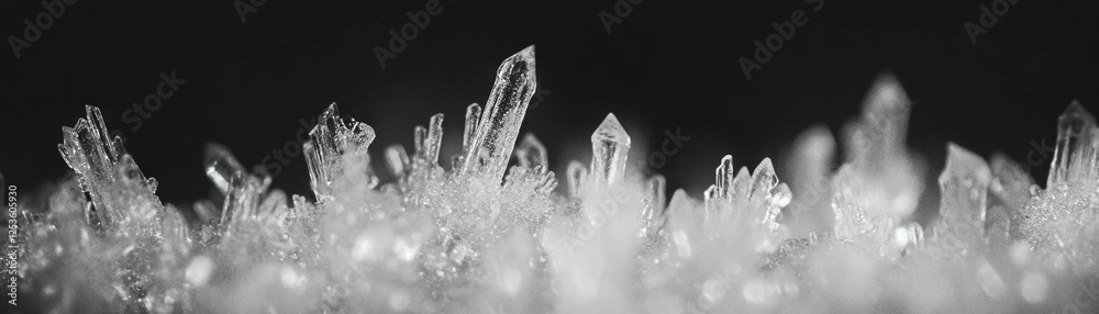 Poster Close-up view of ice crystals with halftone texture showcasing intricate patterns on a surface
