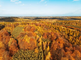 Colorful autumn treetops from aerial perspective