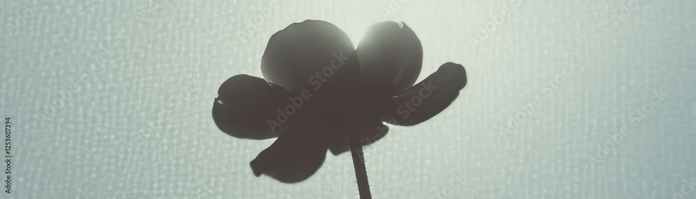 Aufkleber Flower shadow creating a delicate halftone texture on a grunge surface in soft light