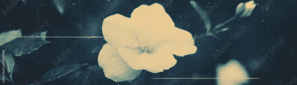 Poster delicate flower with a broken petal set against a grunge background showcasing halftone texture