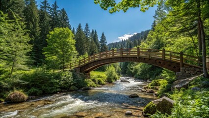 Fototapeta premium Wooden bridge arched over a babbling brook in the heart of a dense forest with vibrant greenery and a bright blue sky, idyllic setting, brook, trees, foliage, forest