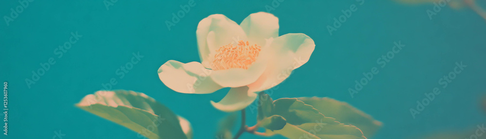 Poster halftone texture of a delicate flower with visible leaf veins against a grunge background