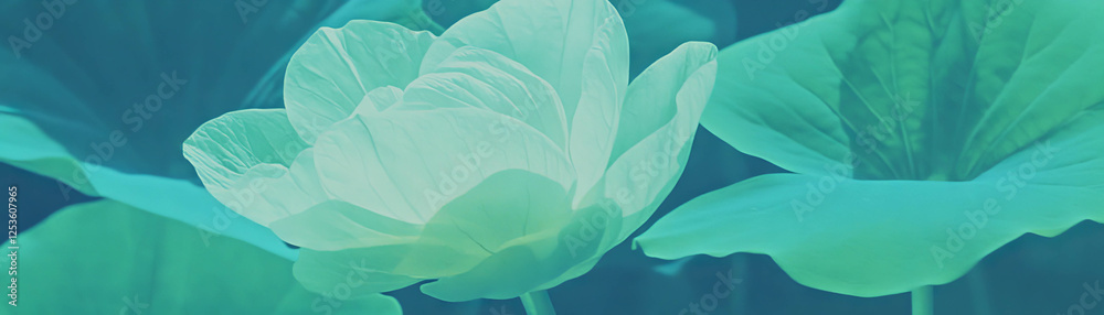 Poster halftone texture of a flower with textured leaves and visible veins against a grunge background
