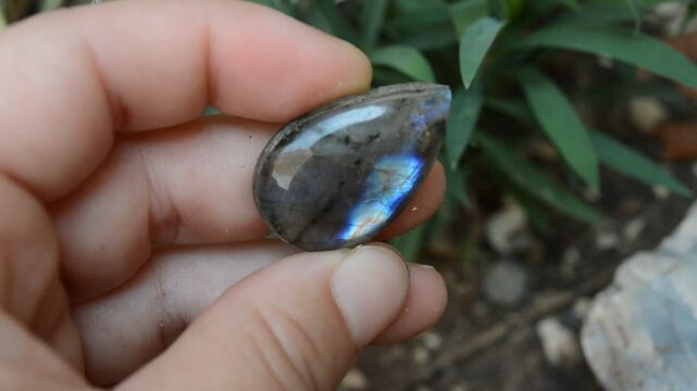 Labredorite mineral blue on collection