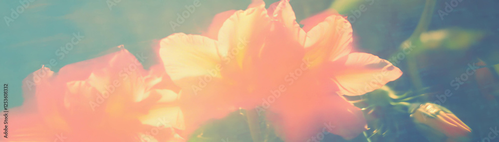 Poster halftone effect of a delicate flower with slender petals on a textured background