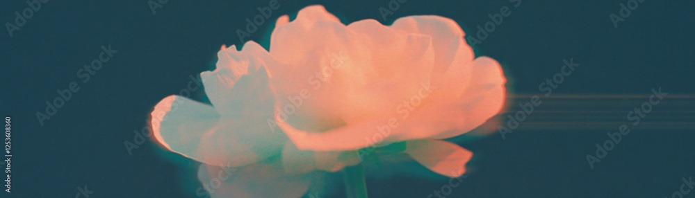 Poster Halftone textured bloom with layered petals against a grunge backdrop in abstract style