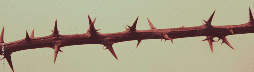 Poster thorny branch with sharp thorns and textured bark on a grunge background