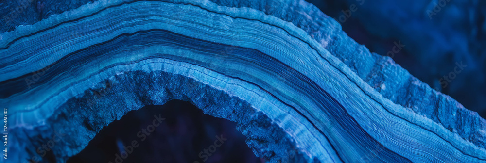 Poster Cross-section of a tree trunk showcasing intricate rings and bark texture for design use