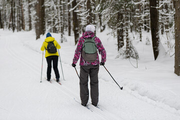 Cross-country skiing.A skier goes skiing in winter on a ski run.
