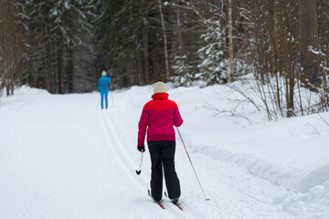 Cross-country skiing.A skier goes skiing in winter on a ski run.
