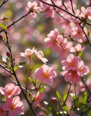 Fototapeta premium A Lush and Dreamy Spring Scene Immersed in Natural Light and Colorful Petals