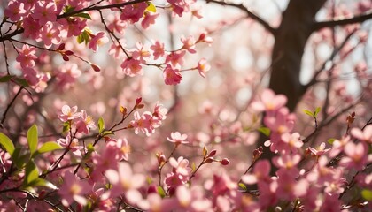 Obraz premium A Lush and Colorful Spring Scene Captured in Natural Light