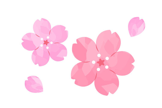桜の花びら水彩風イラスト03