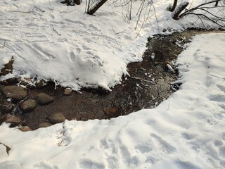 a stream in a snowy forest