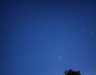 Tranquil Summer Evening Under a Starry Sky with Cricket Serenade