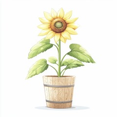 Obraz premium Colorful Sunflower In Wooden Pot
