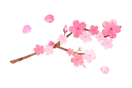 桜の花びら水彩風イラスト素材セット