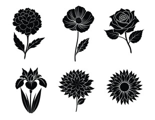 Flowers Silhouette on white background 