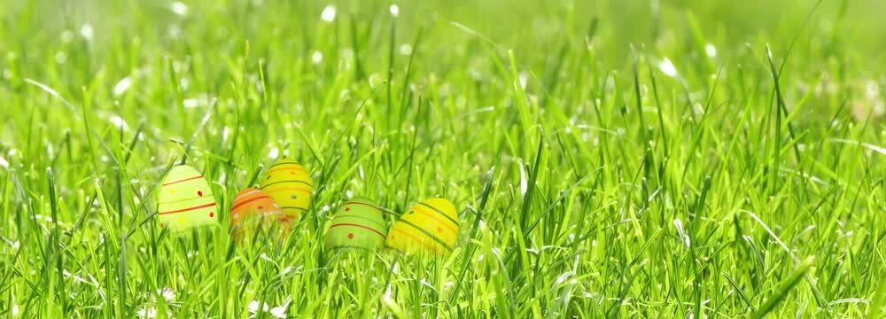 easter eggs in spring meadow background, greeting card for easter holidays with copy space, closeup front view in slow motion wind for sunny header banner