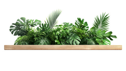 Lush Greenery in Wooden Planter for Modern Interior Decoration