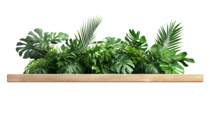 Lush Greenery in Wooden Planter for Modern Interior Decoration
