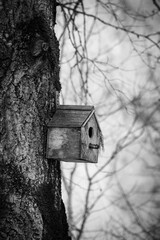bird house on tree