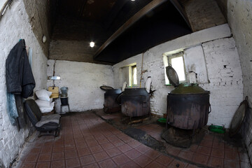 Municipal animal shelter kitchen, big tanks with broth for stray dogs prepared. Borodjanka, Ukraine