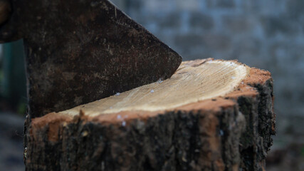 Fototapeta premium Close-up of an axe blade stuck in a wood
