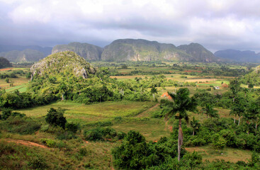 Panorama bucolico della Valle di Vinales a Cuba