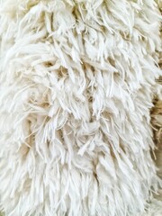 White fur surface creating soft and fluffy texture