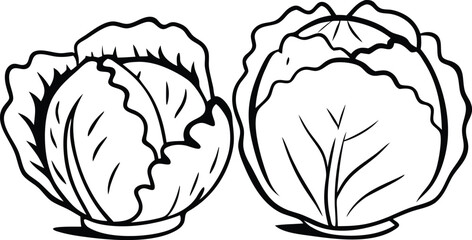 A cabbage head in a minimalist style. Vector illustration of a vegetable, isolated on a white background 